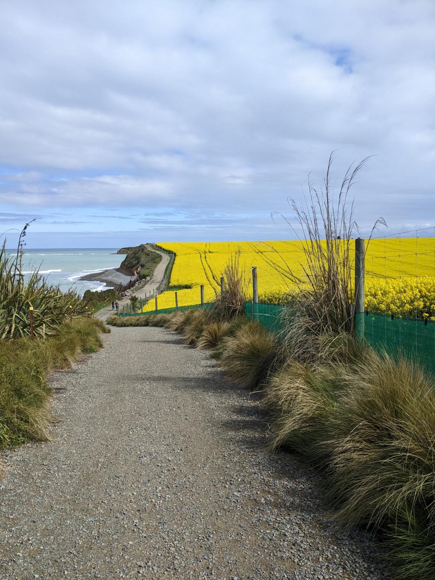 Kingsdown Manor B&B Timaru Buitenkant foto